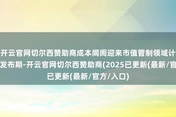 开云官网切尔西赞助商成本阛阓迎来市值管制领域计谋的密集发布期-开云官网切尔西赞助商(2025已更新(最新/官方/入口)
