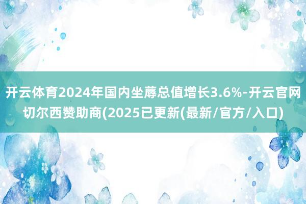 开云体育2024年国内坐蓐总值增长3.6%-开云官网切尔西赞助商(2025已更新(最新/官方/入口)