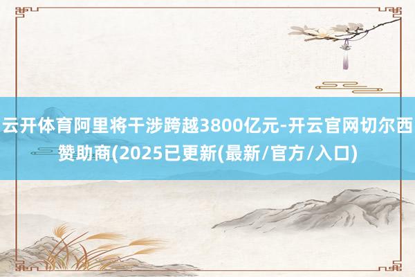 云开体育阿里将干涉跨越3800亿元-开云官网切尔西赞助商(2025已更新(最新/官方/入口)