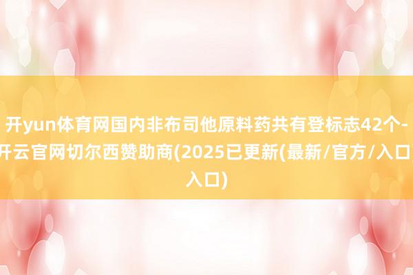 开yun体育网国内非布司他原料药共有登标志42个-开云官网切尔西赞助商(2025已更新(最新/官方/入口)