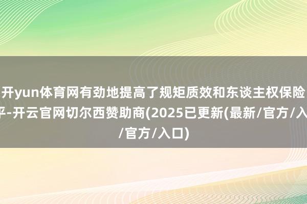开yun体育网有劲地提高了规矩质效和东谈主权保险水平-开云官网切尔西赞助商(2025已更新(最新/官方/入口)