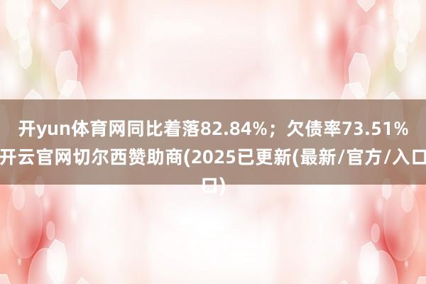 开yun体育网同比着落82.84%;欠债率73.51%-开云官网切尔西赞助商(2025已更新(最新/官方/入口)
